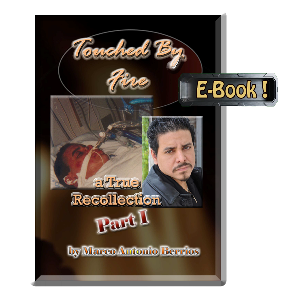 Touched By Fire eBook